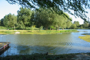 Tisza, Tisza-tó képek